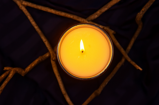 Woodsy Petals candle showing fragrance notes: blue cypress and jasmine